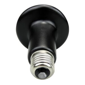 JieCare Ceramic Heating Bulb, 100W.