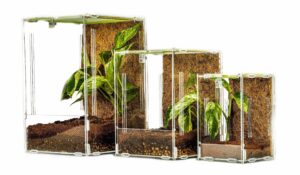 Mantis Den acrylic enclosures