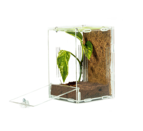 Mantis Den small acrylic enclosure