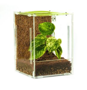 Mantis Den small acrylic enclosure