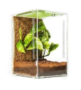 Mantis Den small acrylic enclosure