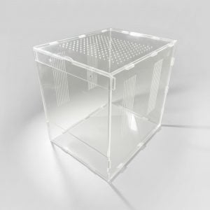 SEF Large Spider Enclosure